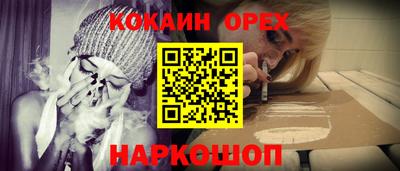 ПСИЛОЦИБИНОВЫЕ ГРИБЫ Гатчина