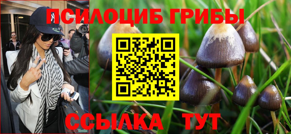 закладка  Галлюциногенные грибы GOLDEN TEACHER  Вход с VPN  Галлюциногенные грибы ЛСД  Отрадное 