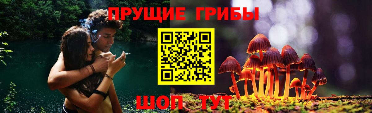Псилоцибиновые грибы MAGIC MUSHROOMS Отрадное