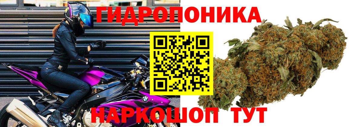 Шишки марихуана семена  Вход с VPN  Шишки марихуана Ganja  Отрадное 